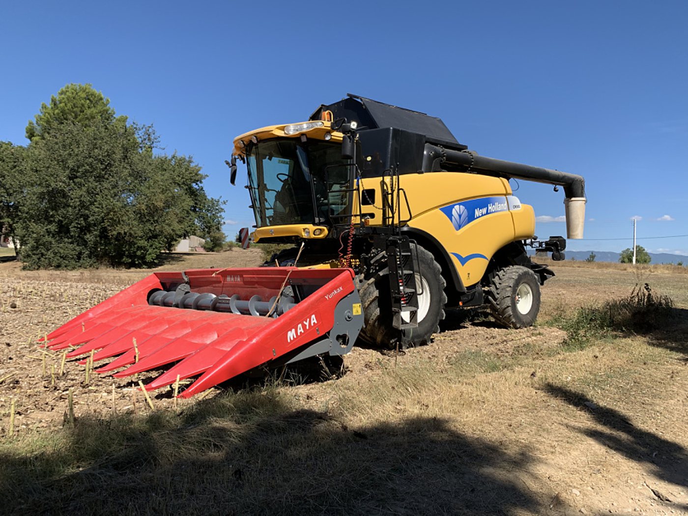 Une moissonneuse-batteuse New Holland jaune équipée d'un bec cueilleur à maïs rouge de marque Maya, dans un champ moissonné sous un ciel bleu.