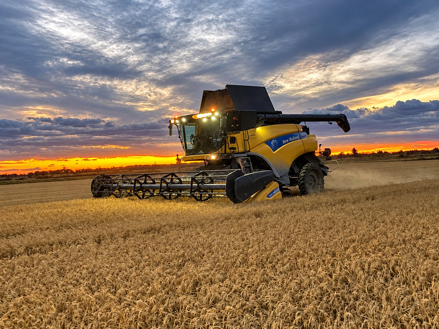 Une moissonneuse-batteuse New Holland aux phares allumés récolte un champ de blé sous un ciel nuageux au coucher du soleil.